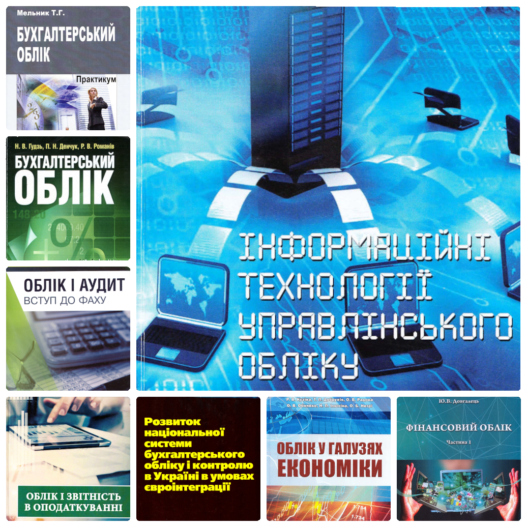 Особливості організації бухгалтерського обліку в сучасних умовах господарювання